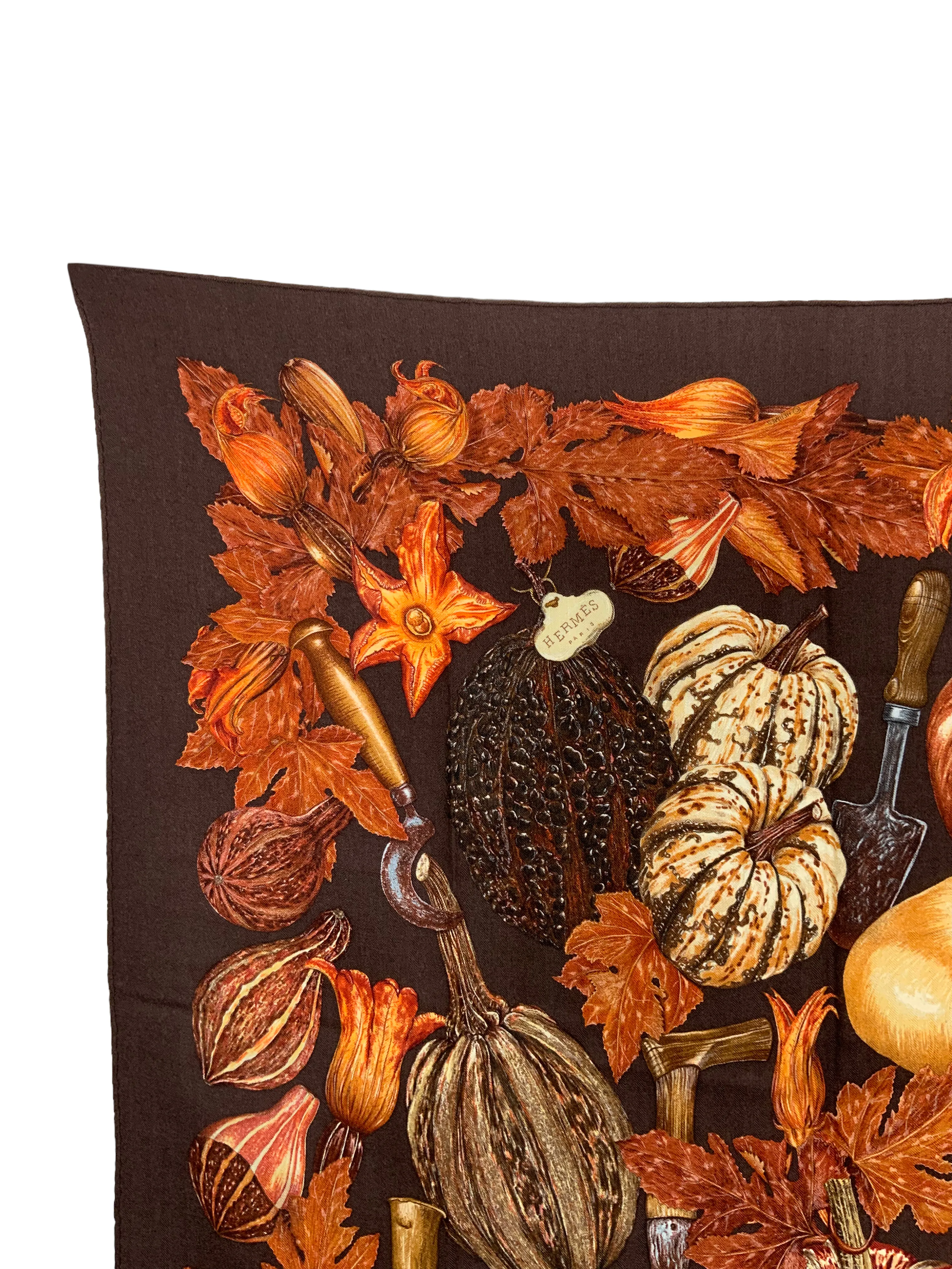 HERMES Citrouilles Et Coloquintes Cashmere Scarf 90