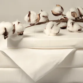 The Colquitt Sheet Set: Natural/Natural