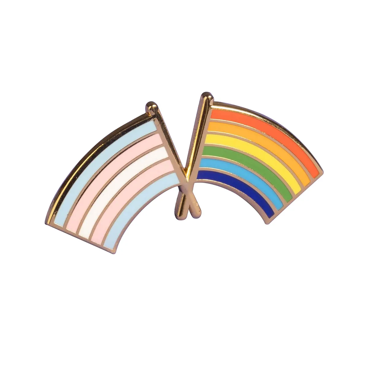 Trans and LGBTQ  Pride Flag Combo Pin