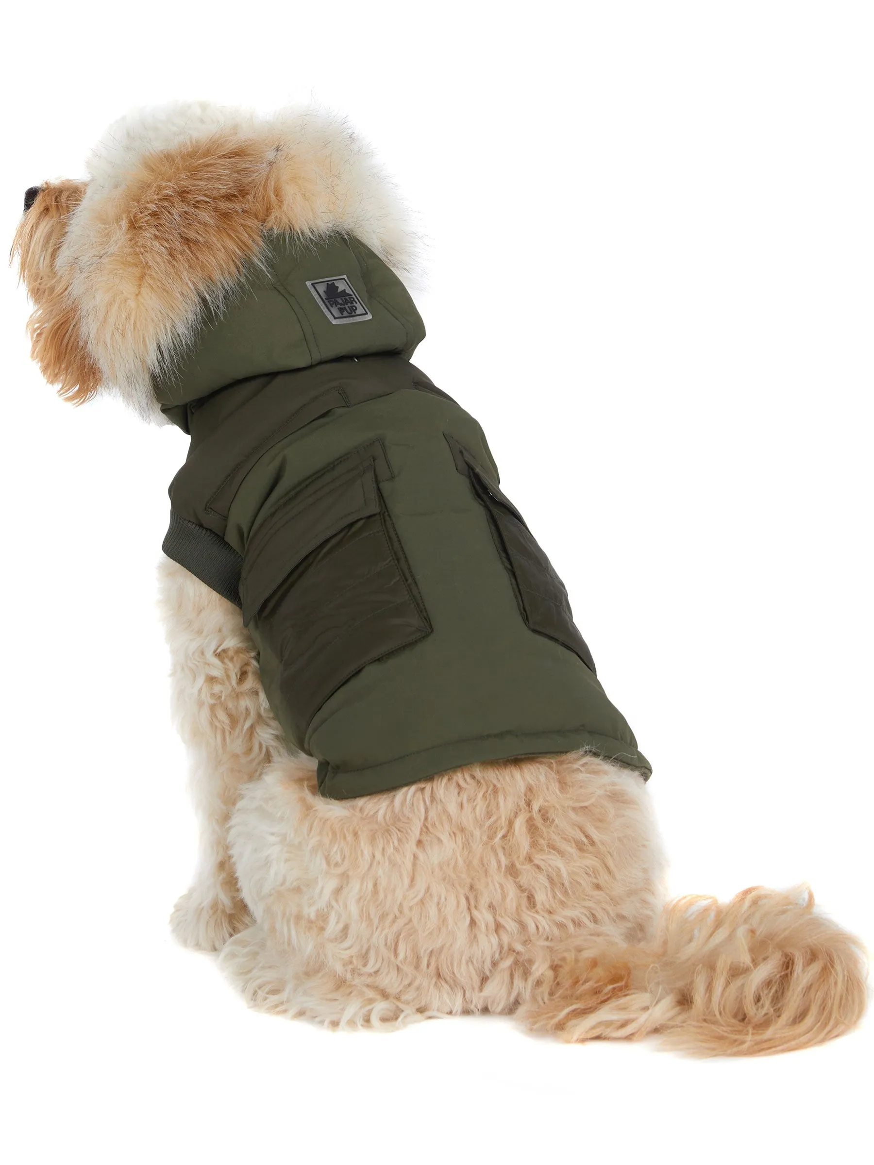 Zeus Jacket for Dogs w/Faux Fur Trim