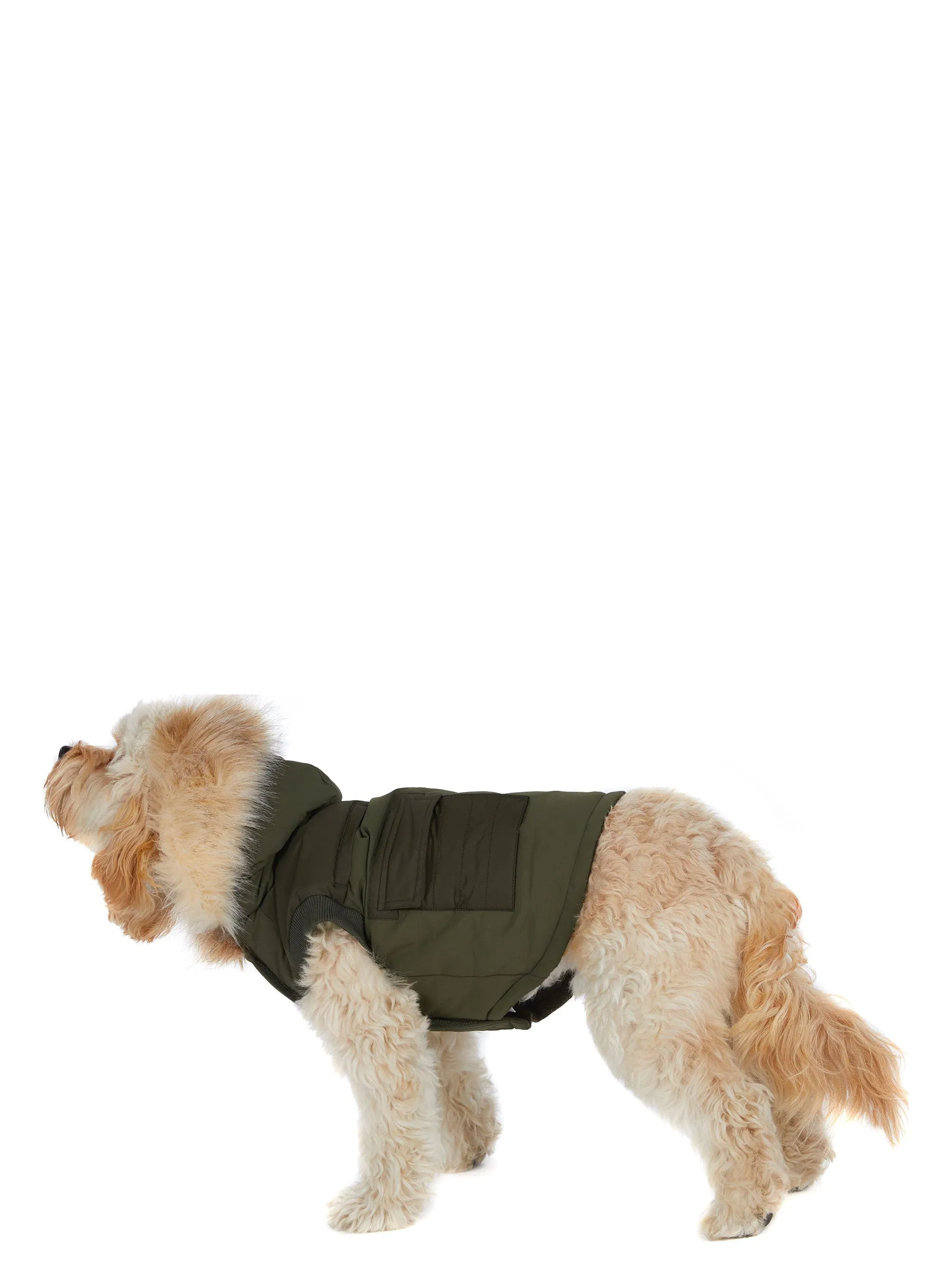 Zeus Jacket for Dogs w/Faux Fur Trim